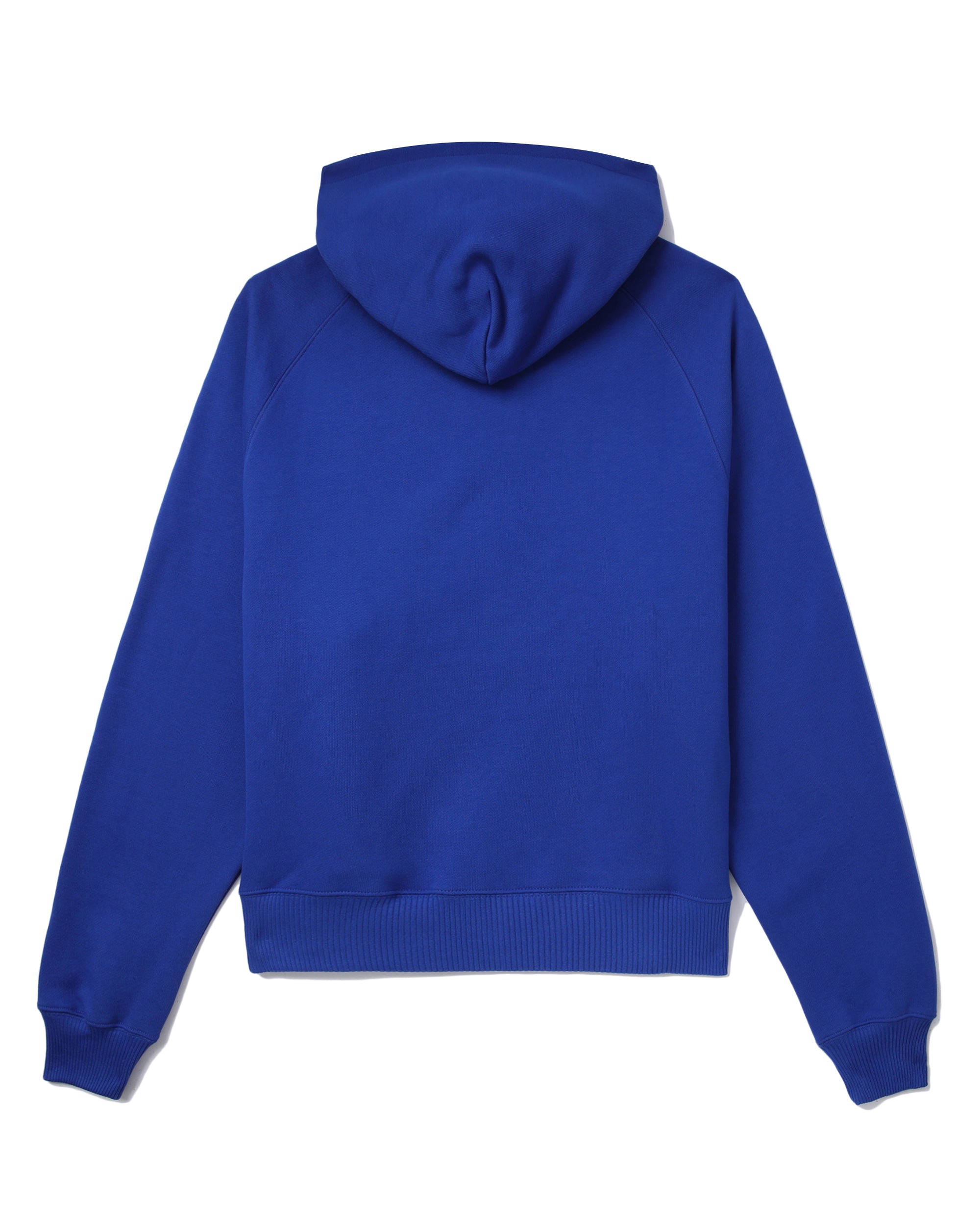MSGM Logo mascot hoodie